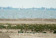 Deze richting mochten we niet uit omdat er veel vogels zitten te broeden