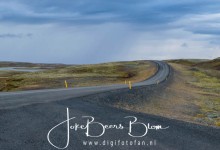 Hier kom je dus niemand tegen