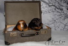 November 2017: Samen op reis ;-)