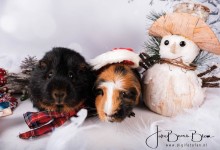 04-12-2018 044 Happie en Tommie