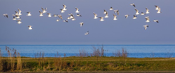 De kracht (of macht) van Adobe Lightroom