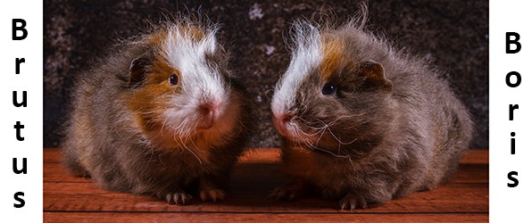 Thuis met de camera aan de slag 2