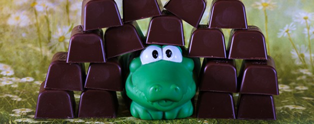 Thuis met de camera aan de slag 3