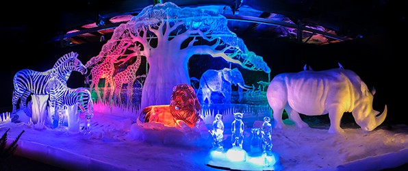 IJsbeelden Festival – Fujifilm X-T5 vs X-T4