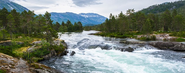Scandinavië 4: Zuid-Noorwegen en een stukje Denemarken