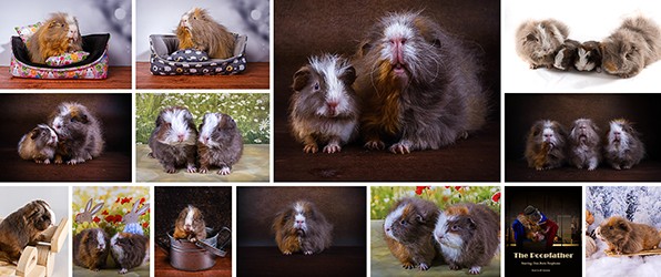 Dag lieve Boris, dag lief vriendje