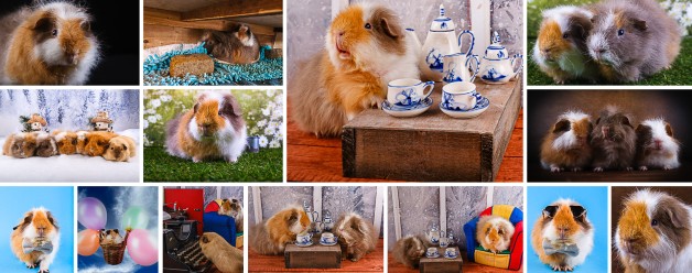 Ach lieve Woody wat ga ik jou missen!