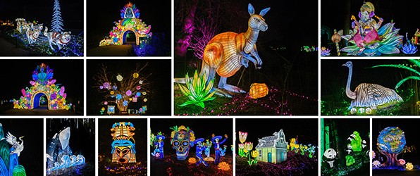 Beekse Bergen Light Safari