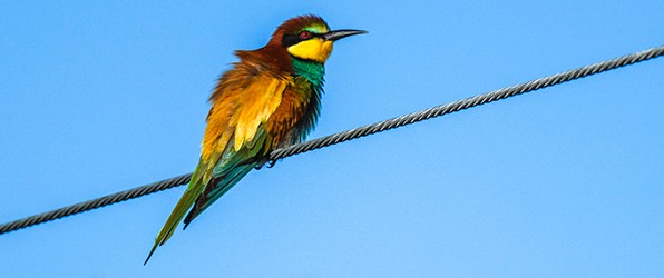 Foto’s vakantie op website en Polarsteps