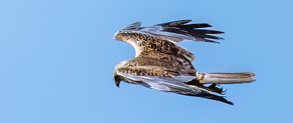 Dagje camera met lens testen