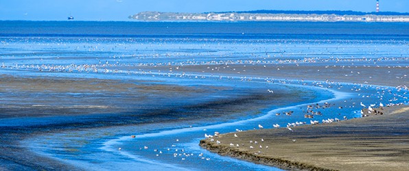 Paar uurtjes Waddenkust
