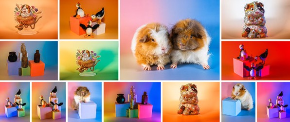 Spelen met Godox Litemons