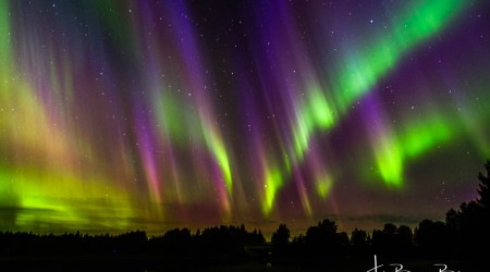 Lady Aurora