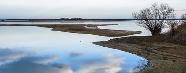 Lac du Der – vogelparadijs