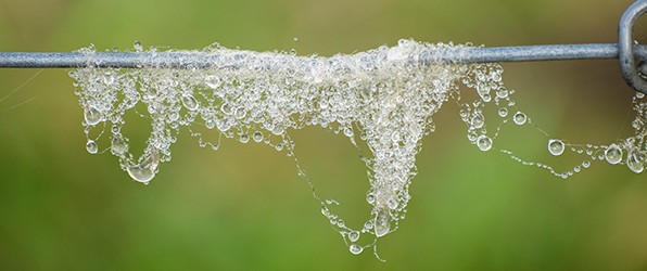 Dichtbij huis op pad