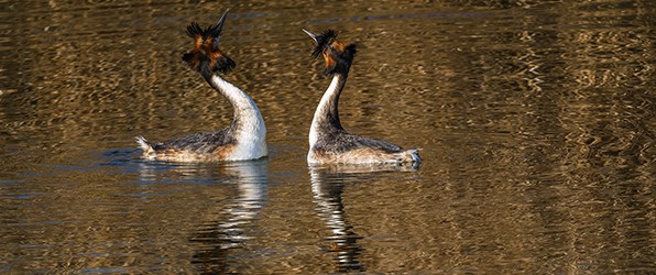 Heerlijk de natuur in