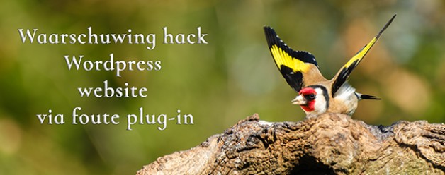 Waarschuwing voor foute WordPress plug-ins